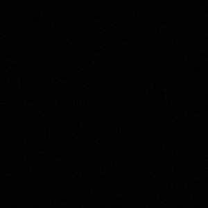 Meet your Posher, Michaela